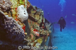 WRECKED DIVE by Mordechai Saxon 